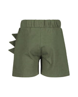 Toddler Boys Shirt & Shorts Set