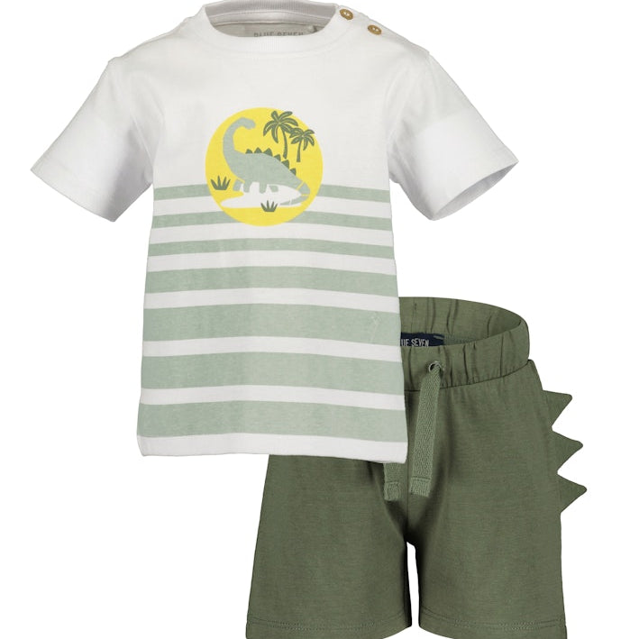 Toddler Boys Shirt & Shorts Set