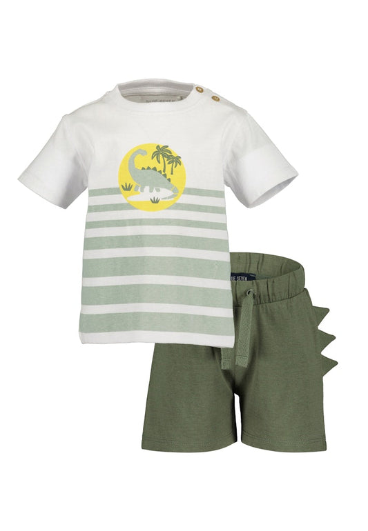 Toddler Boys Shirt & Shorts Set