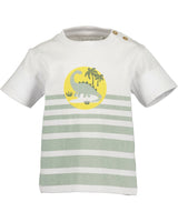 Toddler Boys Shirt & Shorts Set