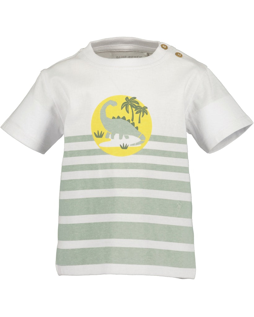 Toddler Boys Shirt & Shorts Set