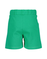Toddler Boys Shirt & Shorts Set
