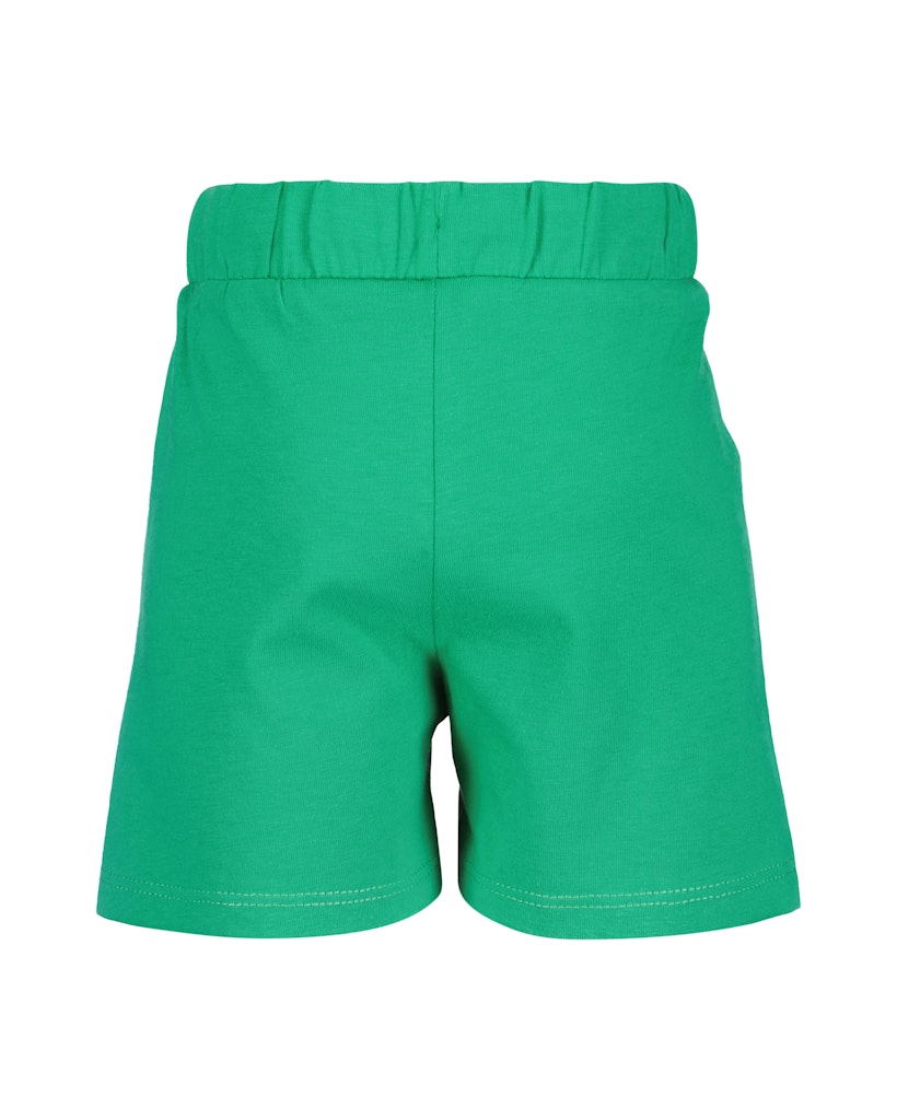 Toddler Boys Shirt & Shorts Set