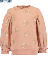 Toddler girls sweatshirt