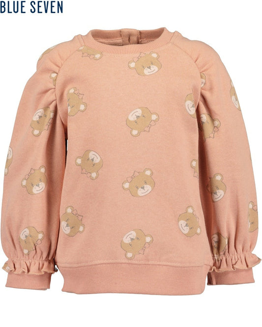 Toddler girls sweatshirt