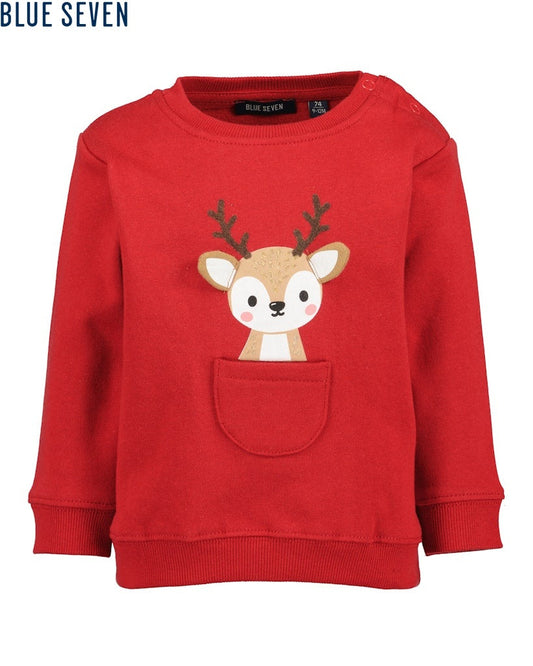 Toddler girls sweatshirt