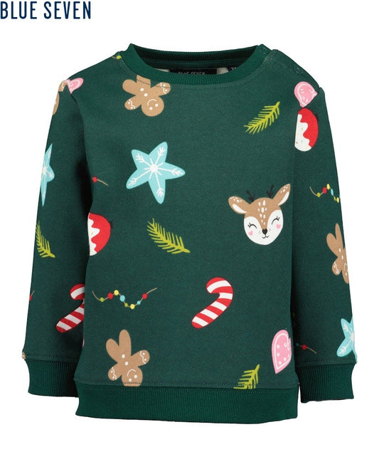 Toddler girls sweatshirt