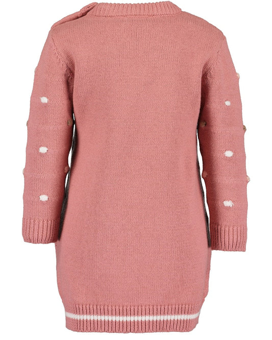 Toddler girls knit dress