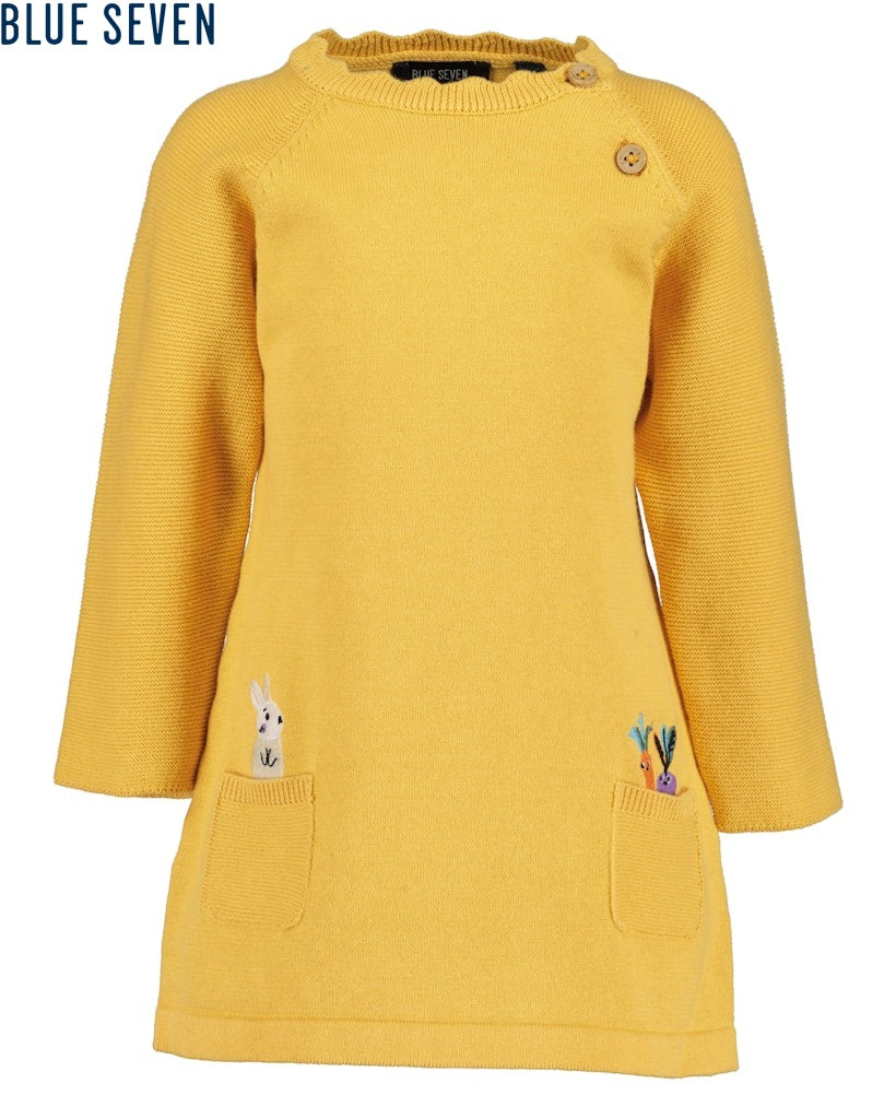 Toddler girls knit dress