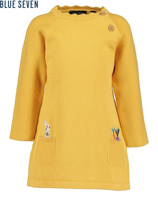 Toddler girls knit dress