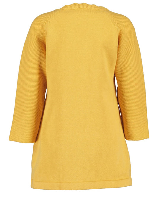 Toddler girls knit dress