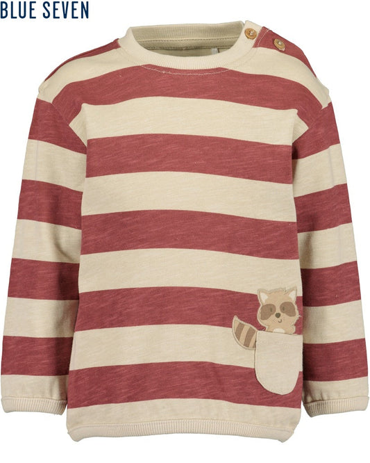 Toddler boys Shirt