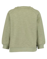 Toddler boys sweatshirt