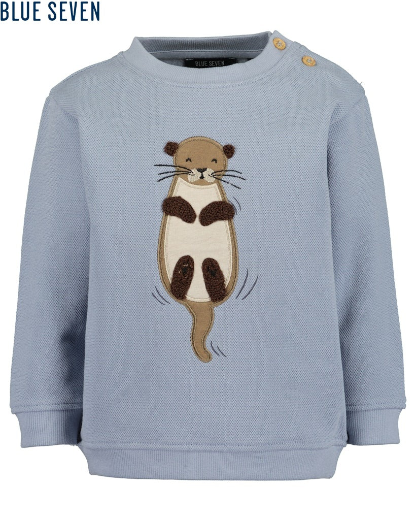 Toddler boys sweatshirt