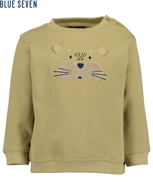 Toddler boys sweatshirt
