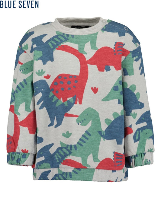 Toddler boys sweatshirt