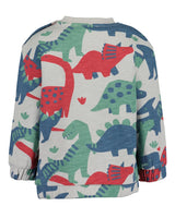 Toddler boys sweatshirt