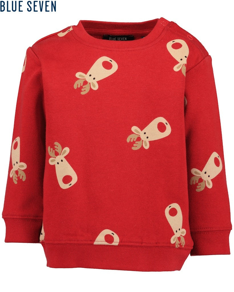 Toddler boys sweatshirt