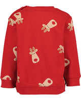 Toddler boys sweatshirt