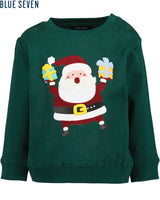 Toddler boys sweatshirt
