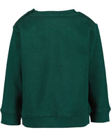 Toddler boys sweatshirt