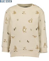 Toddler boys sweatshirt