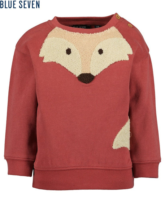 Toddler boys sweatshirt