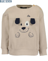 Toddler boys sweatshirt