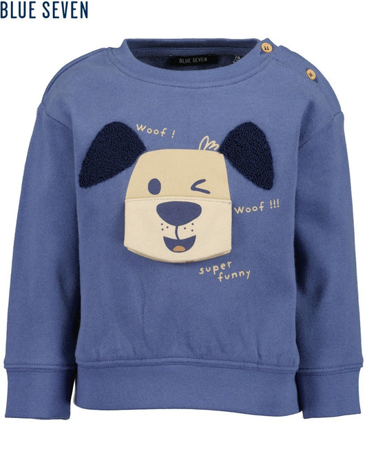 Toddler boys sweatshirt