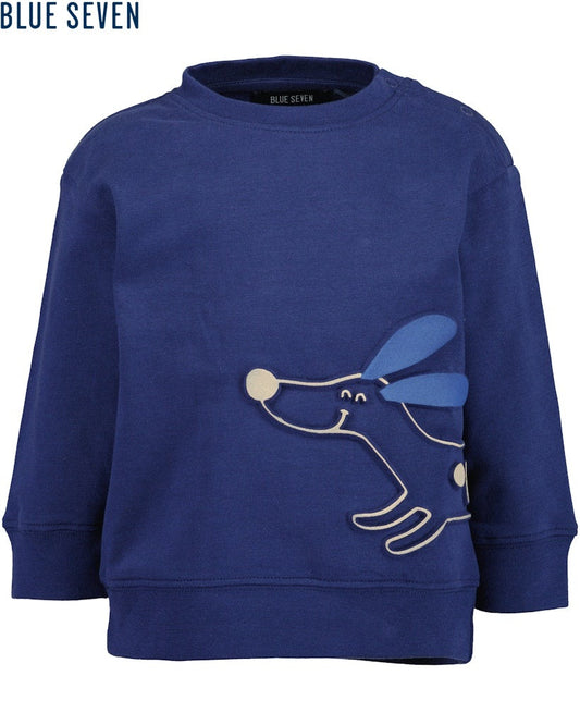 Toddler boys sweatshirt
