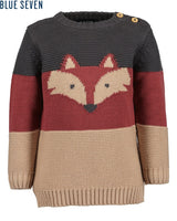 Toddler boys pullover