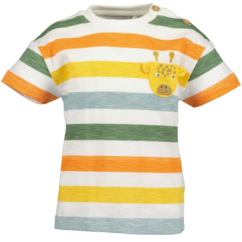 Mini boys knitted shirt