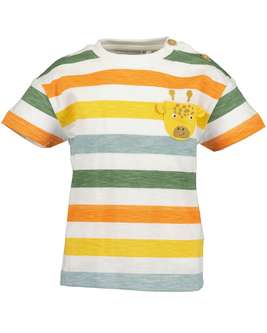 Mini boys knitted shirt