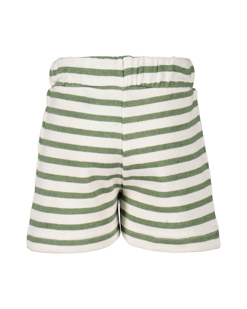 Mini boys knitted shorts