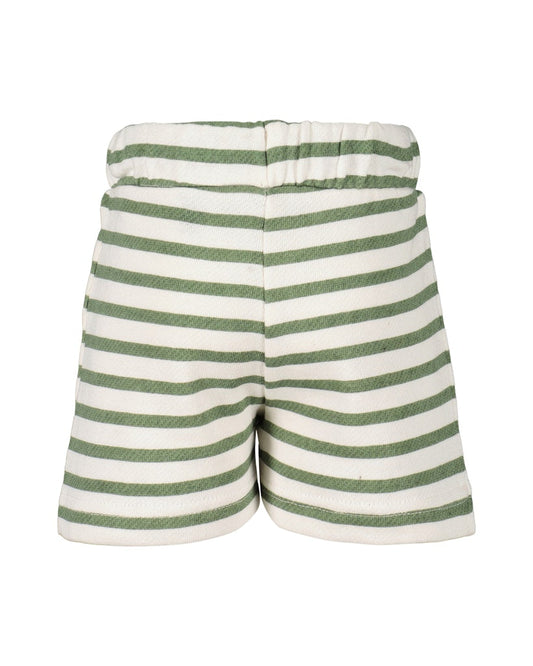 Mini boys knitted shorts