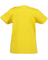 Mini boys knitted shirt