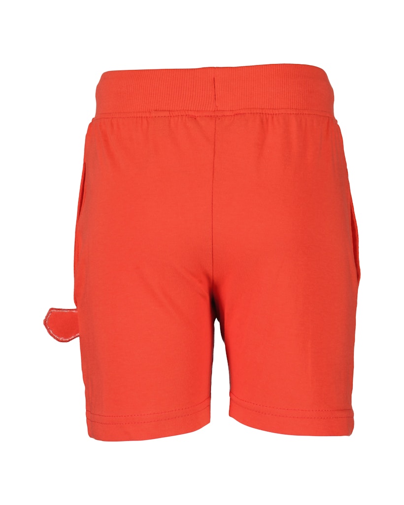 boys knitted shorts