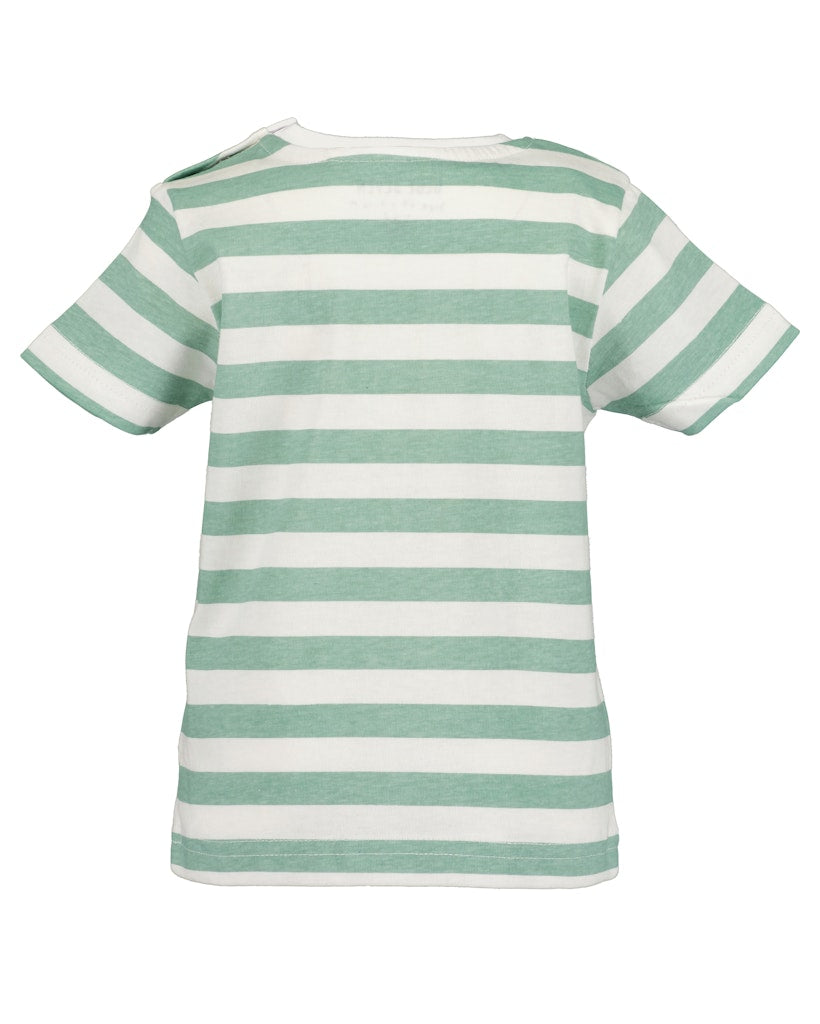 Mini boys knitted shirt
