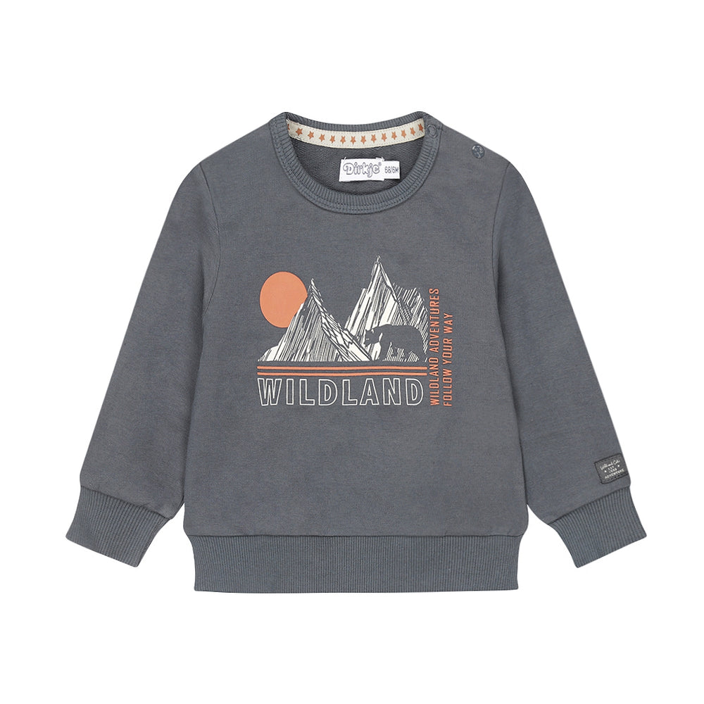 Boys Wildland Graphic Cotton Sweater – Navy