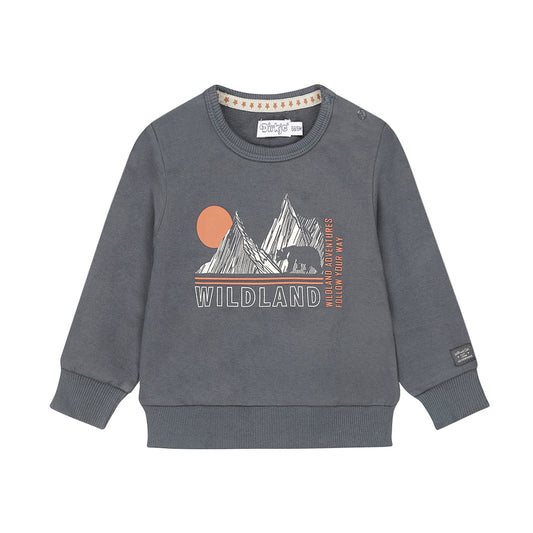 Boys Wildland Graphic Cotton Sweater – Navy