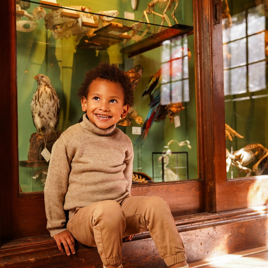 Boys Roll-Neck Sweater – Dark Sand