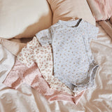 Baby Body 3-Pack Short Sleeve – Multi Colour | Organic Cotton